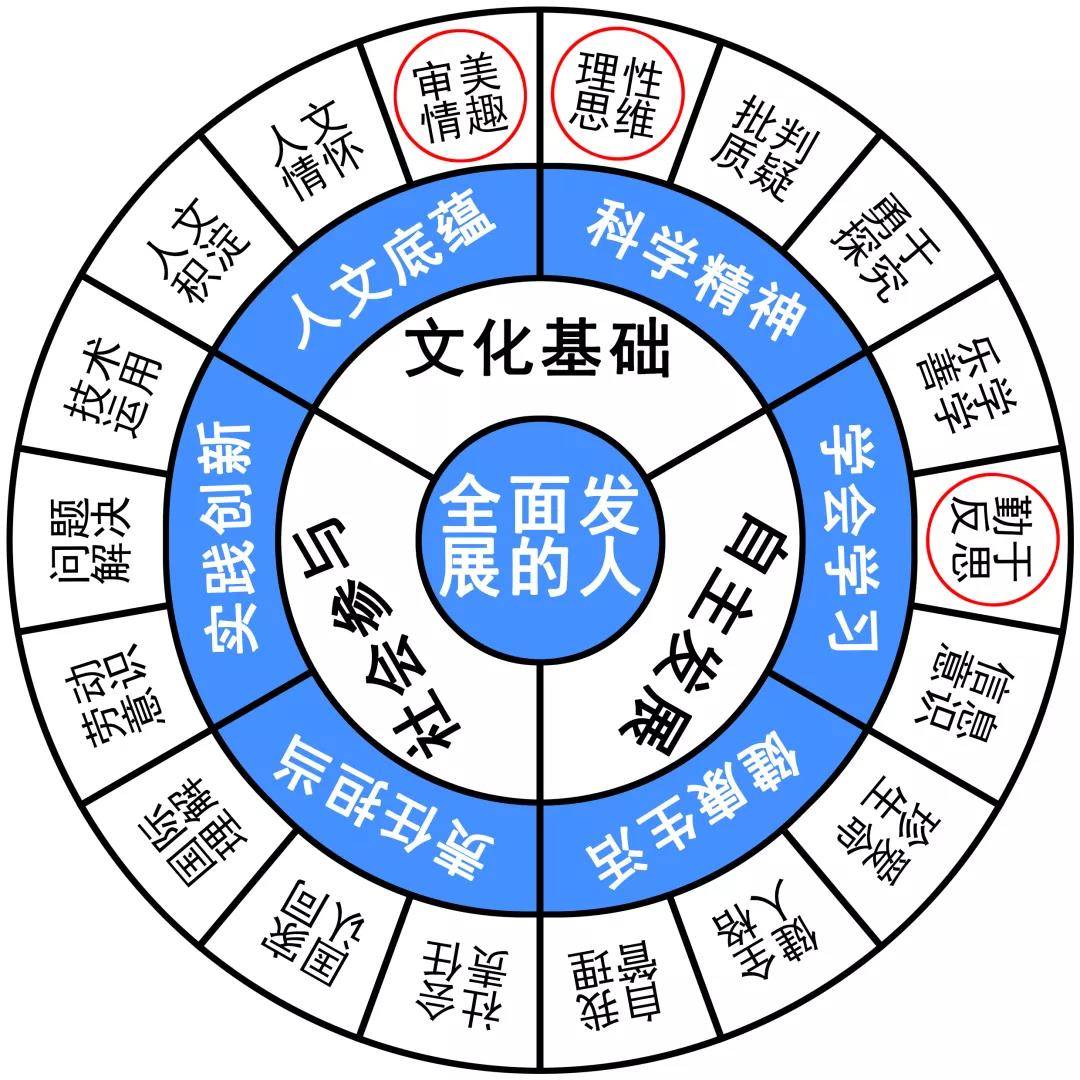 2024澳门新奥走势图-精选解释解析落实