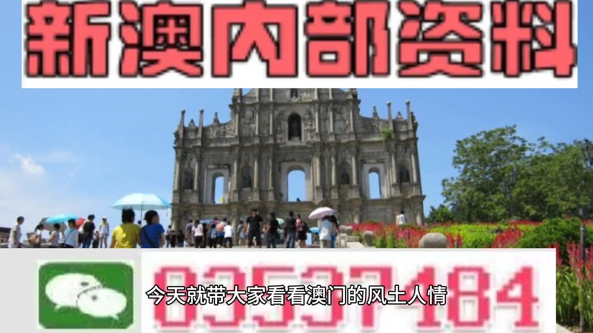 2024新澳一码一特-精选解释解析落实