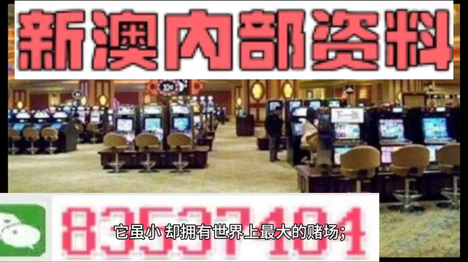 2024年新澳门全年免费资料大全|精选资料解析大全,精选解析大全，探索新澳门2024年全年免费资料大全