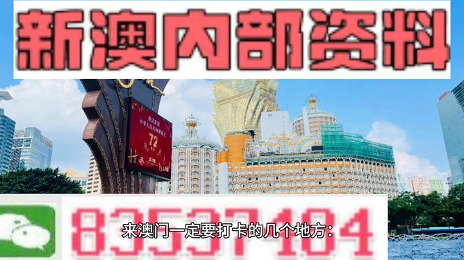 2024新澳门精准资材免费|精选资料解析大全,2024新澳门精准资材免费精选资料解析大全