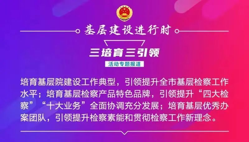 新澳门管家婆的一句话,新澳门管家婆的一句话，洞悉人生智慧，引领时代潮流