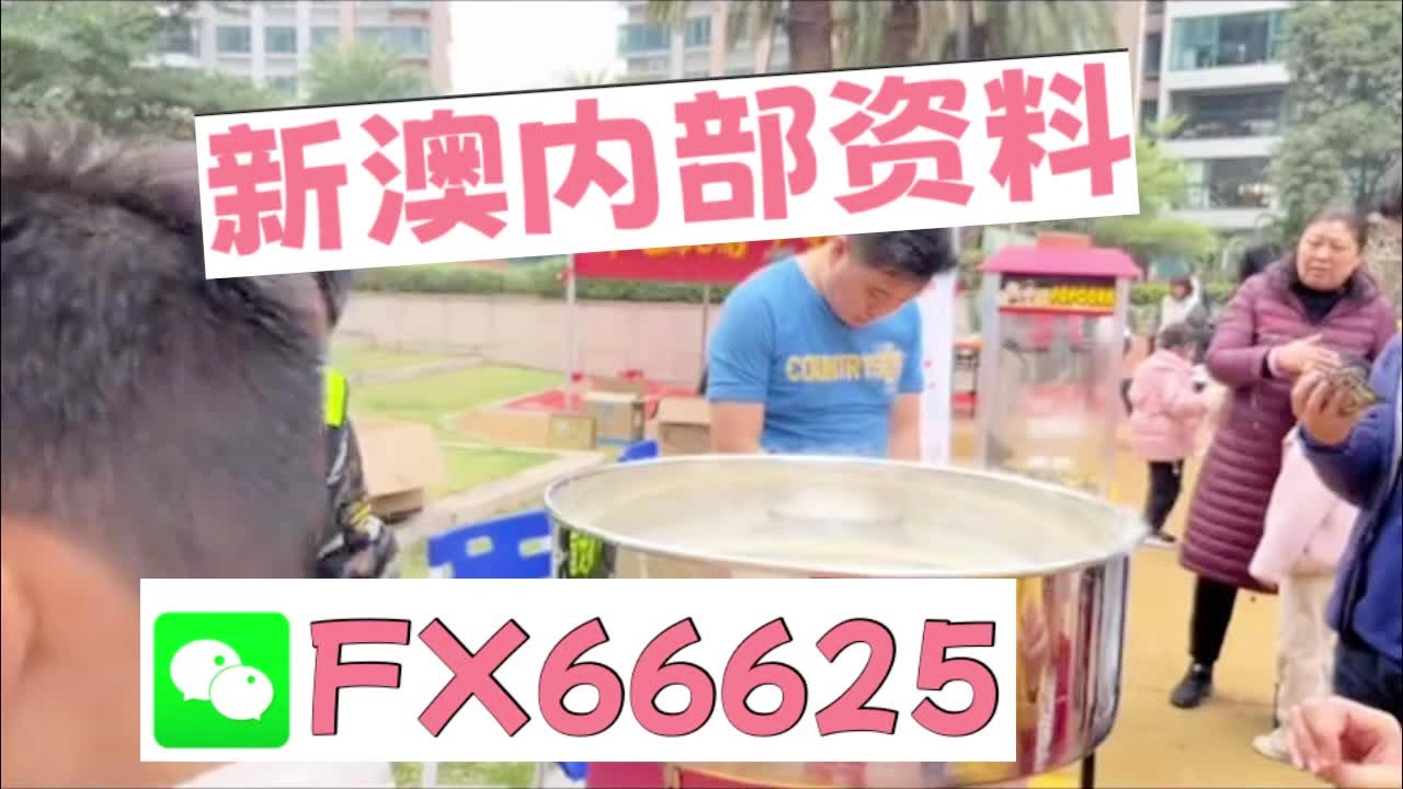 新澳天天开奖资料大全600,新澳天天开奖资料大全，探索彩票世界的秘密与魅力