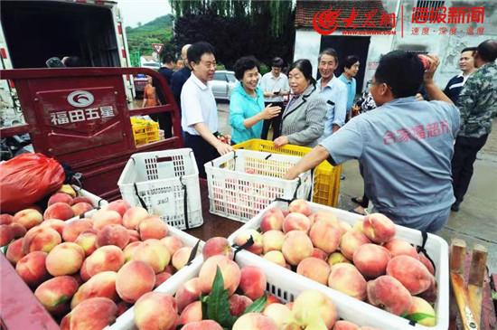 大众网官方澳门香港网,大众网官方澳门香港网，连接内地与港澳的桥梁与纽带