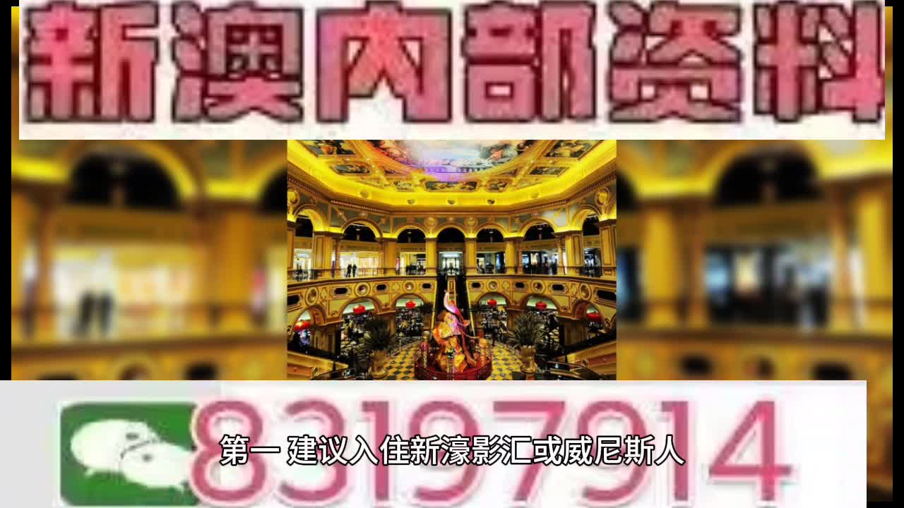 新澳门内部精准10码,新澳门内部精准10码，探索与解读