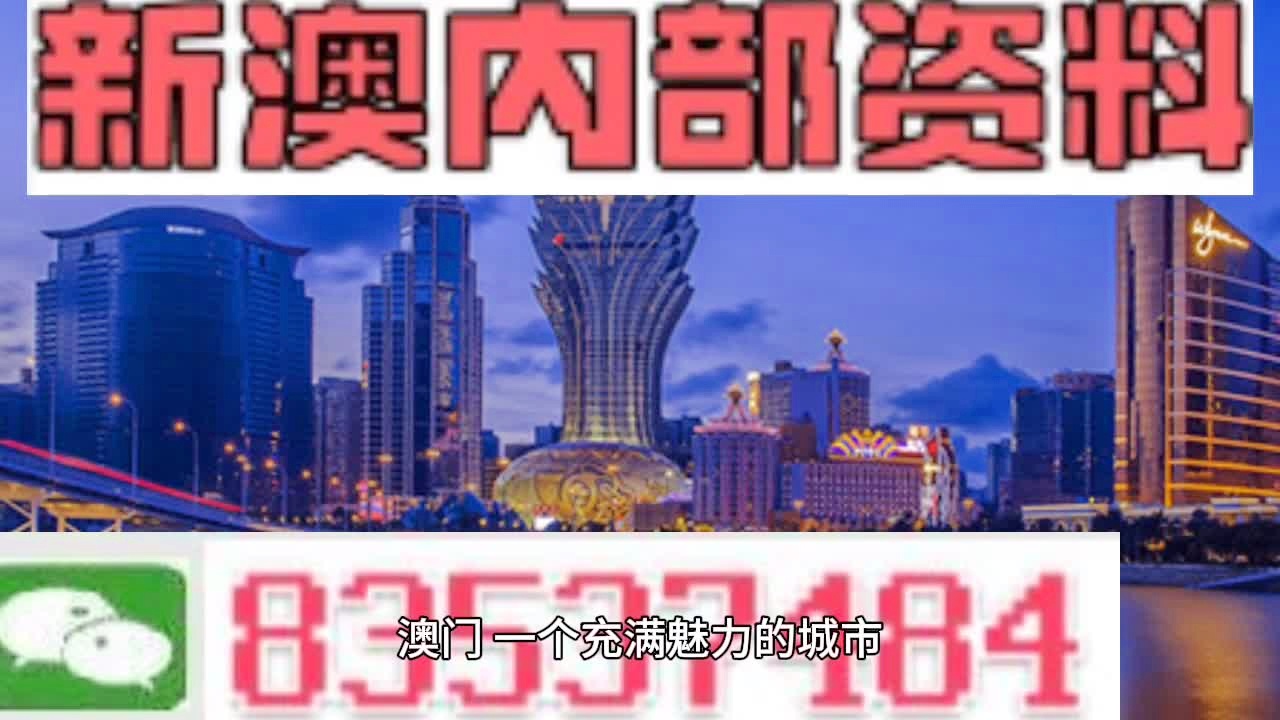 新澳内部资料精准大全,新澳内部资料精准大全，深度解析与洞察