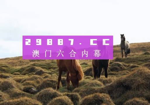 澳门49开奖现场直播特色,澳门49开奖现场直播，特色与魅力