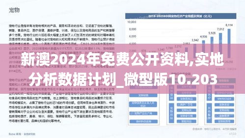 2025新澳全年资料,探索未来，2025新澳全年资料概览