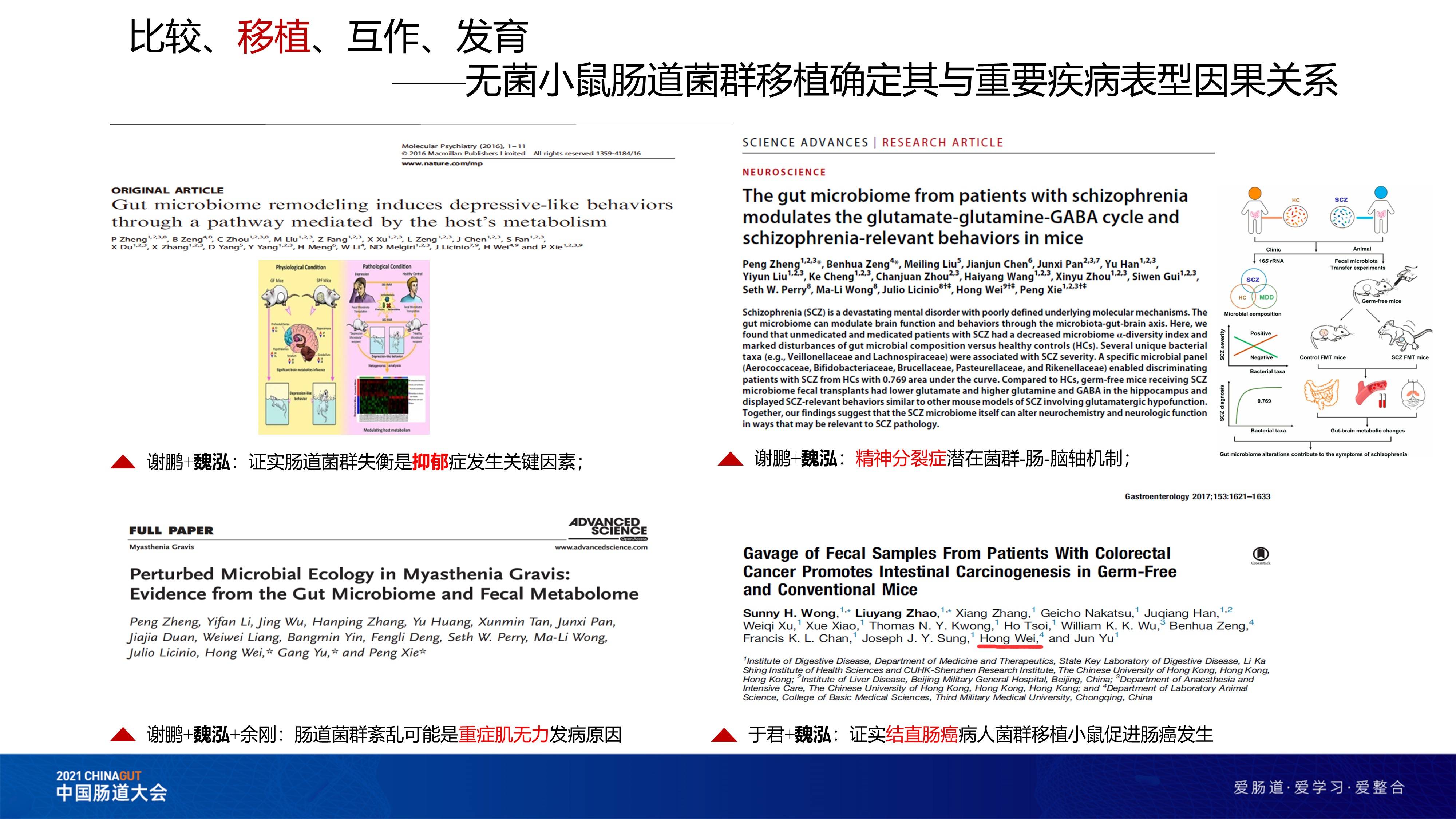 2004新澳正版资料最新更新,2004新澳正版资料最新更新详解