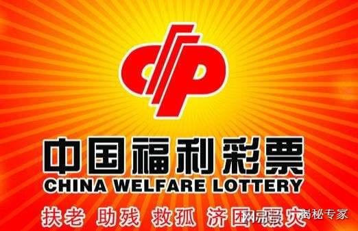 494949开奖历史记录最新开奖记录,揭秘494949开奖历史记录与最新开奖动态