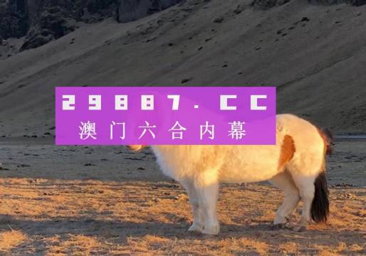 新澳门内部码10码网站,新澳门内部码10码网站的发展与探索